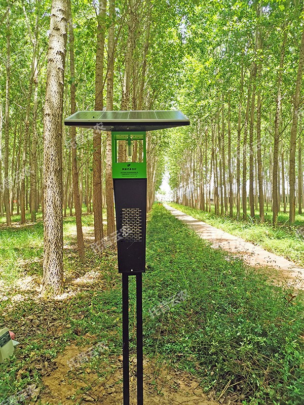 1685949146484854.jpg 1685949146484854.jpg