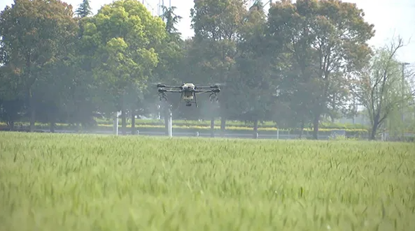 江蘇海門(mén)：打造數(shù)字化高標(biāo)準(zhǔn)農(nóng)田，為鄉(xiāng)村振興蓄勢(shì)賦能