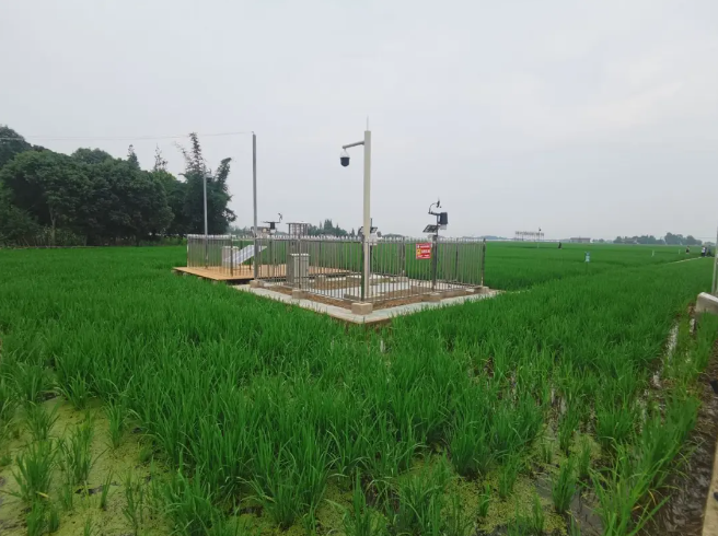 耕地質(zhì)量綜合監(jiān)測(cè)點(diǎn)，邛崍現(xiàn)代農(nóng)業(yè)的新探索和實(shí)踐