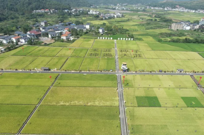 智慧種業(yè)案例 | 湘東：雜交水稻制種之鄉(xiāng)，數(shù)字技術(shù)成為制種新神器！