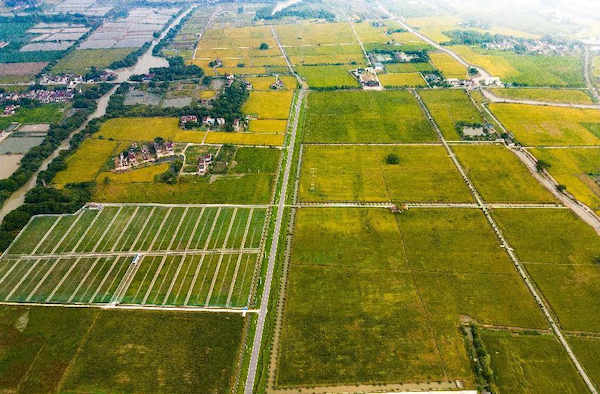 高標(biāo)準(zhǔn)農(nóng)田案例丨托普云農(nóng)助力善璉鎮(zhèn)農(nóng)田“數(shù)智”升級